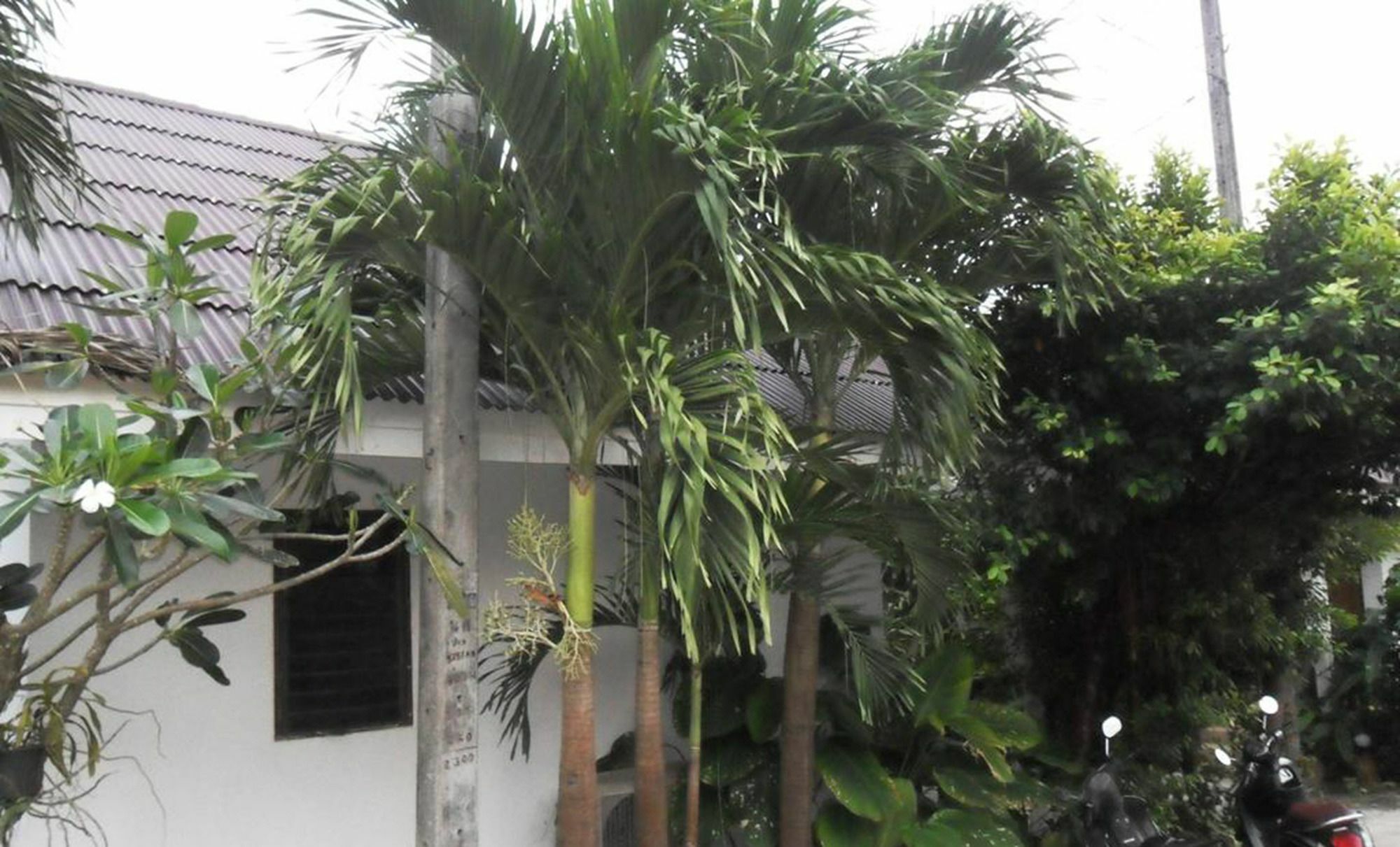 Aonang Sr Bungalows Ao Nang Exterior photo